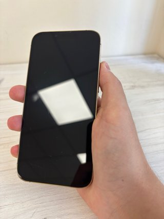 iPhone 13 Pro 1TB 97% |1 AÑO DE GARANTIA