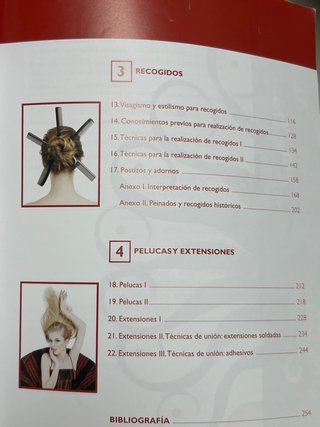 Libro peinados,  acabados y recogidos