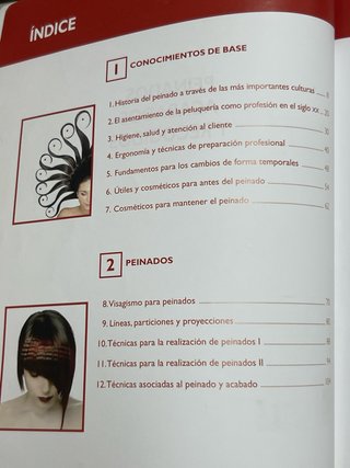 Libro peinados,  acabados y recogidos
