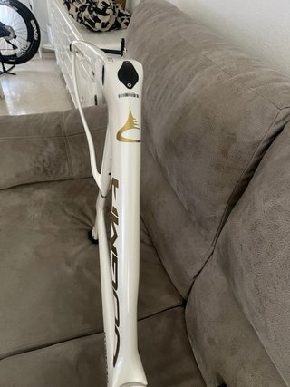Pinarello Dogma Blanco y Dorado