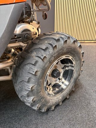 Buggy Pgo Bug Racer 500