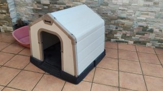 Caseta y cuna para perro