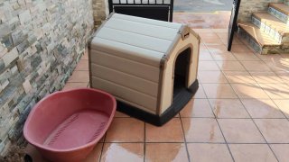 Caseta y cuna para perro