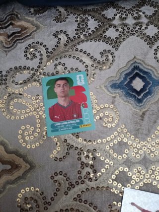 Cartas Mundial Panini