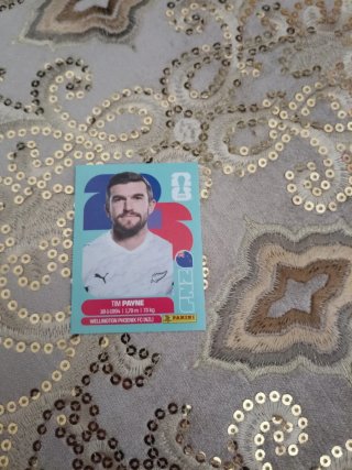 Cartas Mundial Panini