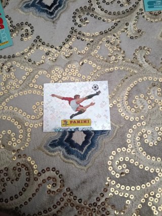 Cartas Mundial Panini