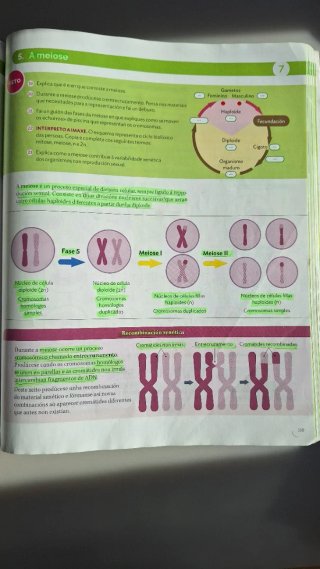 Bioloxía e Xeoloxía 4 ESO Proxecto Construíndo mun