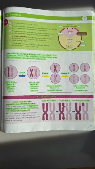 Bioloxía e Xeoloxía 4 ESO Proxecto Construíndo mun