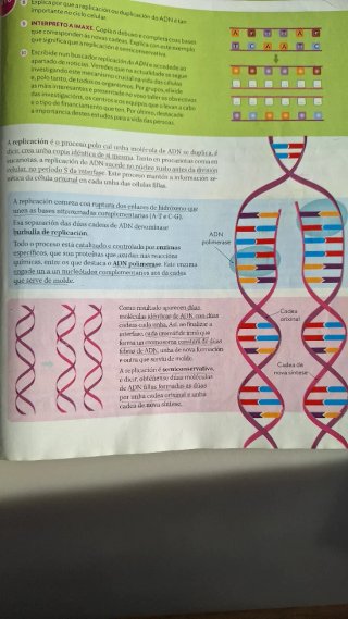 Bioloxía e Xeoloxía 4 ESO Proxecto Construíndo mun