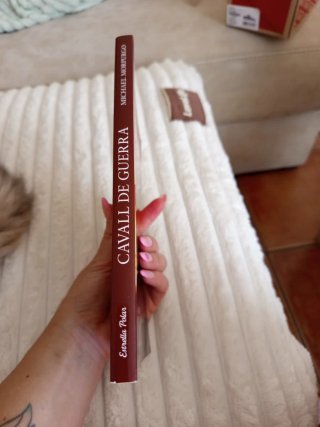 Cavall de guerra