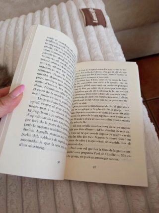 Cavall de guerra