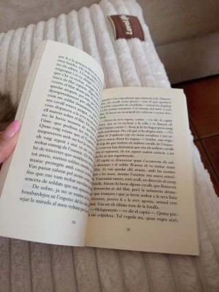 Cavall de guerra
