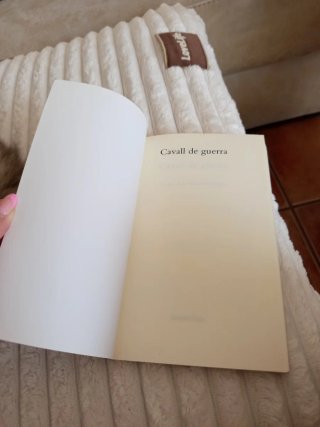 Cavall de guerra