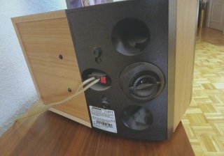 Altavoces Bose 301 V