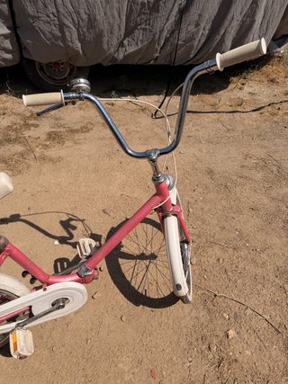 Bicicleta BH Antigua Rosa 20