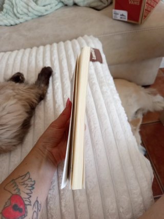 Historia de una escalera