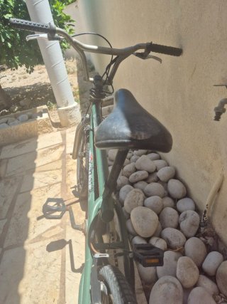 Bici bmx verde