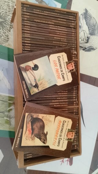 Colección de cuadernos de campo de Félix