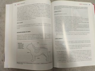 Manual de fisioterapia en pequeños animales