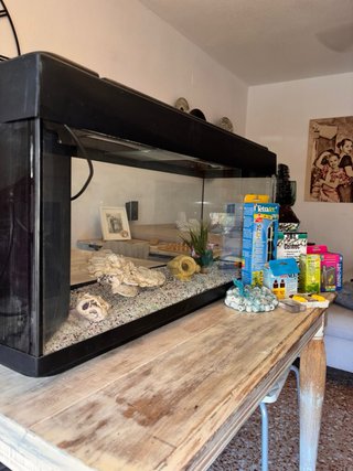 Acuario 100L con Luz listo para usar!Lote completo