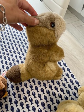 6 peluche Trudi