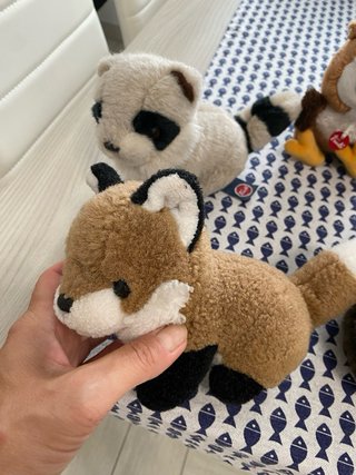 6 peluche Trudi