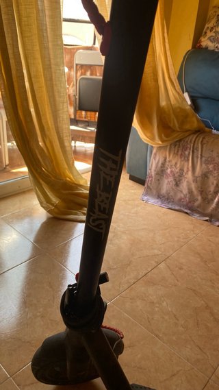 Patinete zwheel zfox