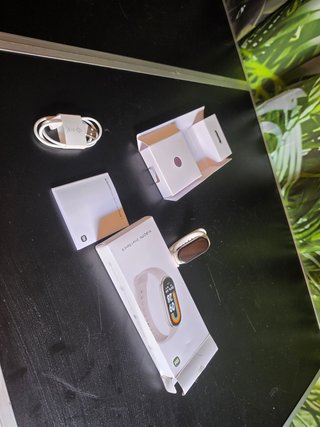 Xiaomi Smart Band 8