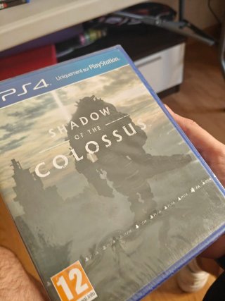 Shadow of the Colossus PS4