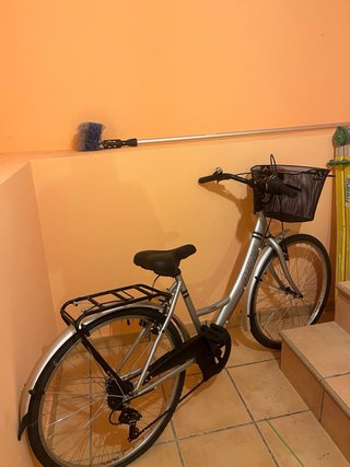 Bicicleta de paseo Berg con marchas