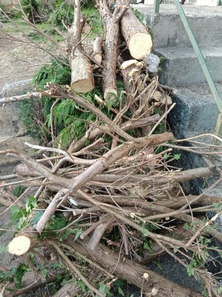 Leña gratis para chimenea o barbacoa