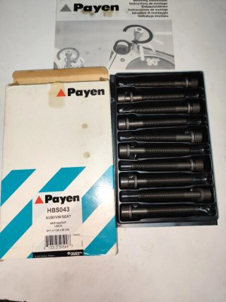 Serie Perni Testa Audi VW Seat Payen HBS043