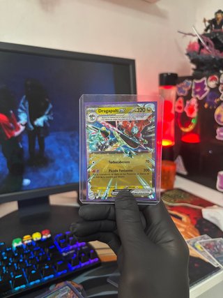 Pokémon Lote TCG Ex
