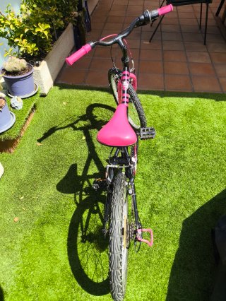 Bicicleta Infantil 20 pulgadas