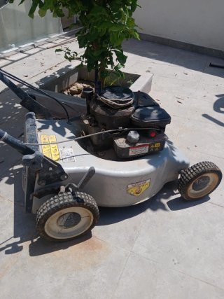 Cortacésped de gasolina