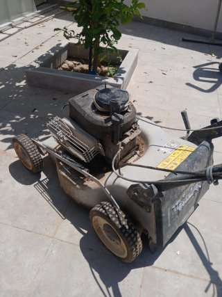 Cortacésped de gasolina
