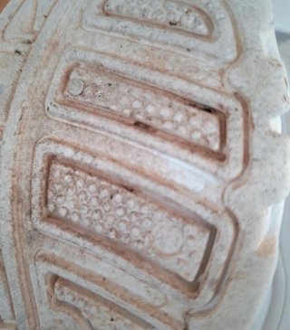 Zapatillas blancas