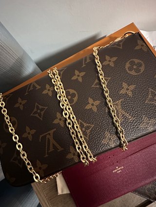 Louis Vuitton Felicie Pochette