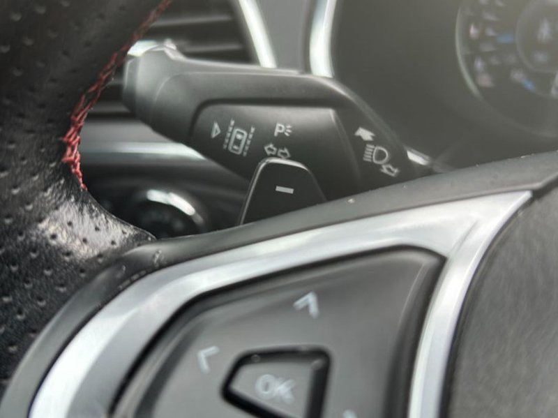 Ford S-Max 2019, foto 14