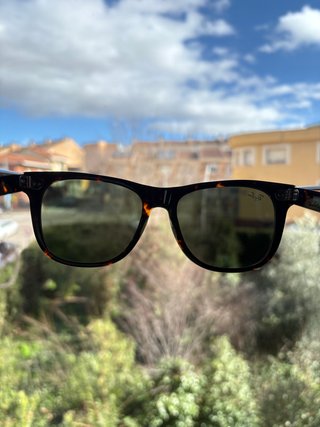 Gafas de Sol Ray-Ban Wayfarer Tortoise/G15 Green