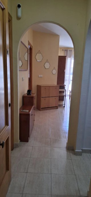 APARTAMENTO 1 DORMITORIO ALQUILER TORREVIEJA