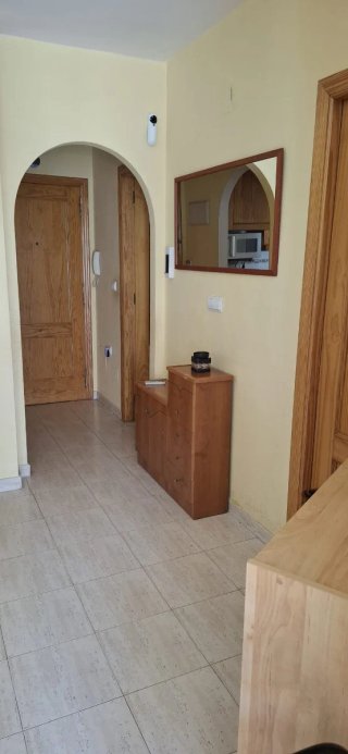 APARTAMENTO 1 DORMITORIO ALQUILER TORREVIEJA