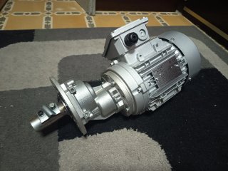 Motor reductor industrial