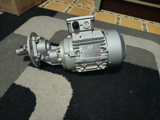 Motor reductor industrial