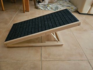 Rampa para perros plegable