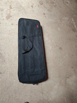 Guitarra Eléctrica Plateada con Funda
