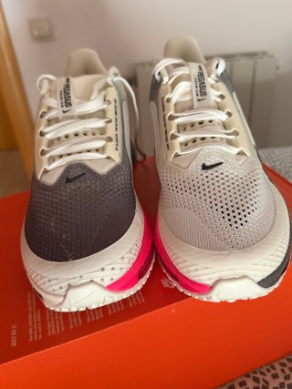 Nike Pegasus Premium Talla 45 originales