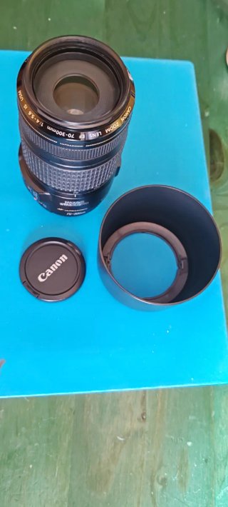 Canon EF 70-300mm f/4-5.6 IS USM