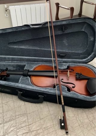 Violín con funda y arco