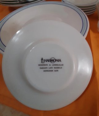 Vajilla de porcelana azul y blanca